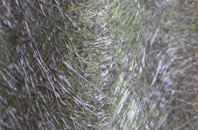 Rhosyn Coch fibreglass roof work